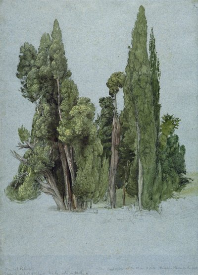 The Cypresses at the Villa d